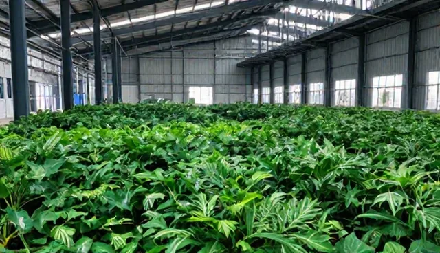 如何确保网络推广服务中用户增长的稳定性